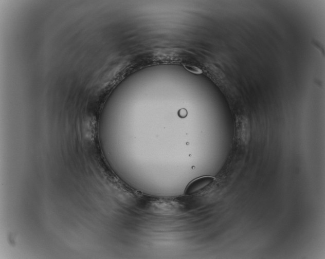 X0000103420712200809121307