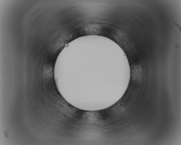 X0000103420713200809121307