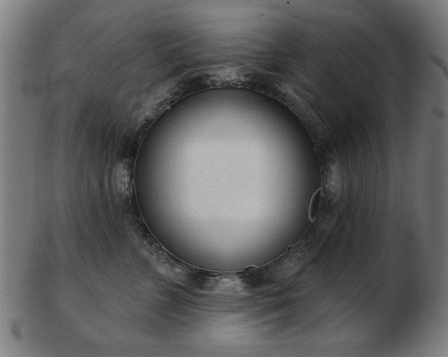 X0000103420715200809121307