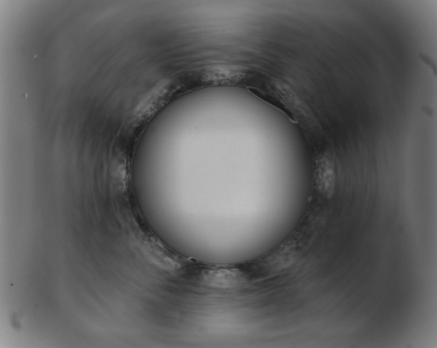 X0000103420716200809121307