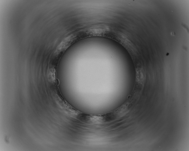 X0000103420718200809121307