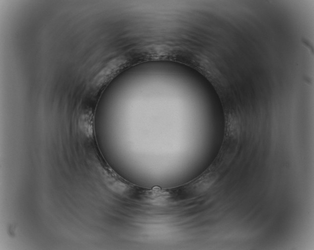 X0000103420719200809121307