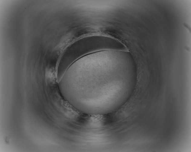 X0000103420720200809121307