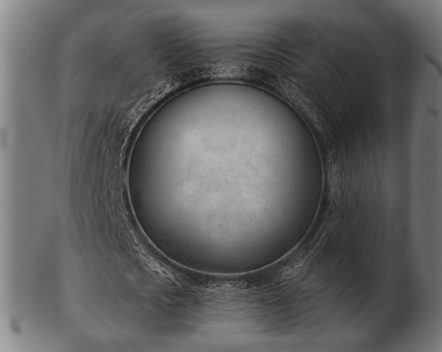 X0000103420721200809121306