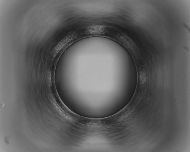 X0000103420725200809121306