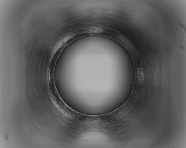 X0000103420726200809121306