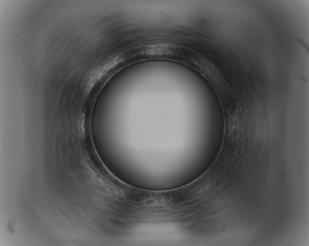 X0000103420727200809121306