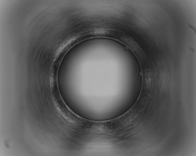 X0000103420728200809121306