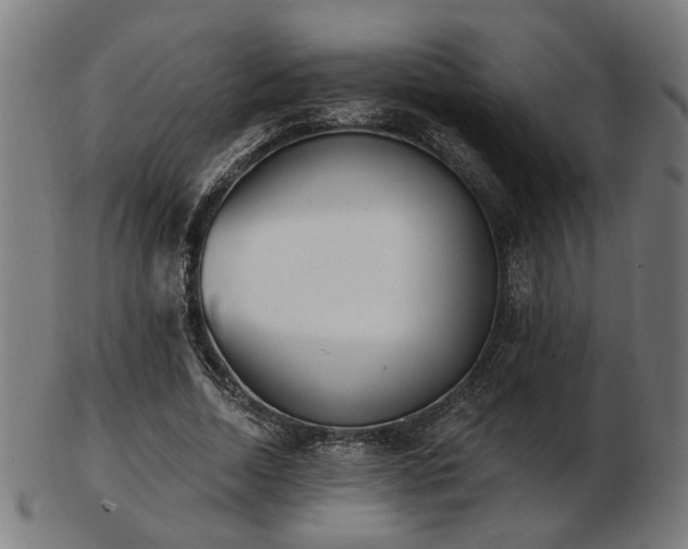 X0000103420730200809121306