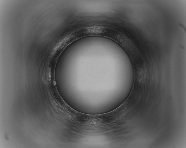 X0000103420731200809121306