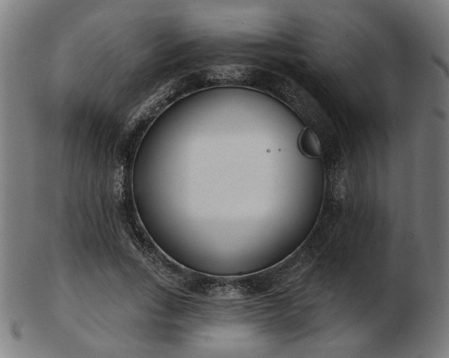 X0000103420735200809121306