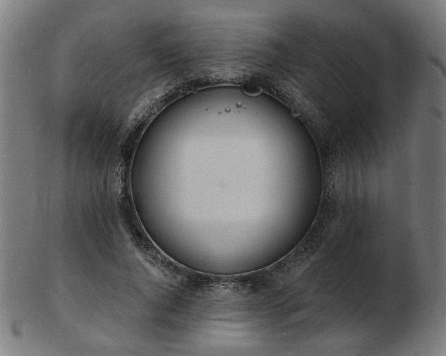 X0000103420736200809121307