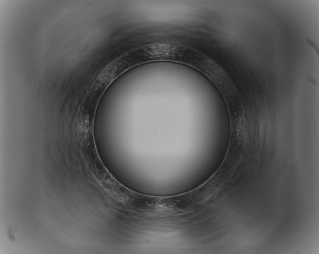 X0000103420737200809121307