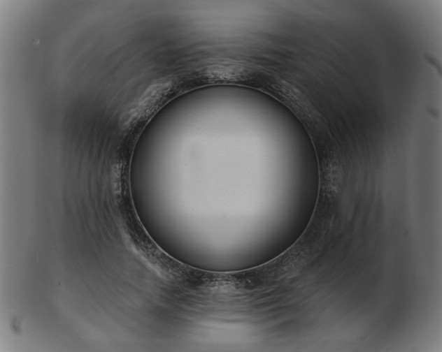 X0000103420738200809121307