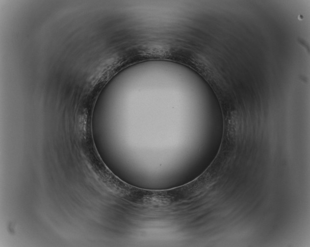 X0000103420739200809121307