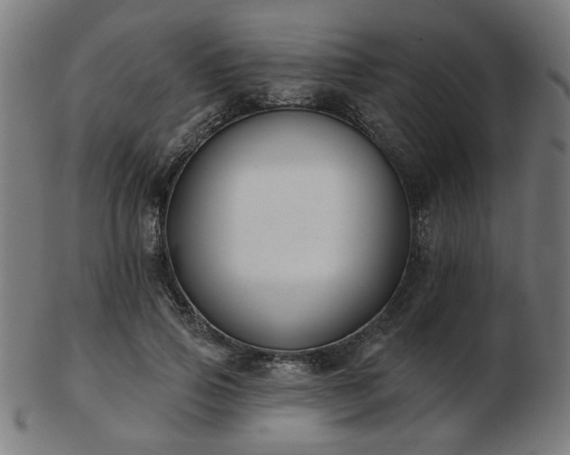 X0000103420741200809121307