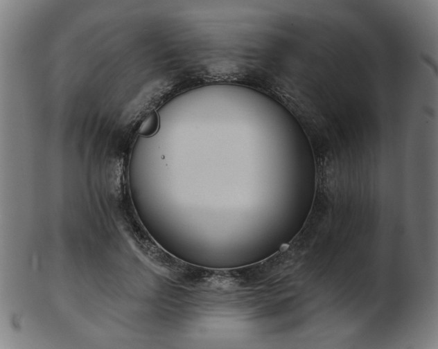 X0000103420742200809121307