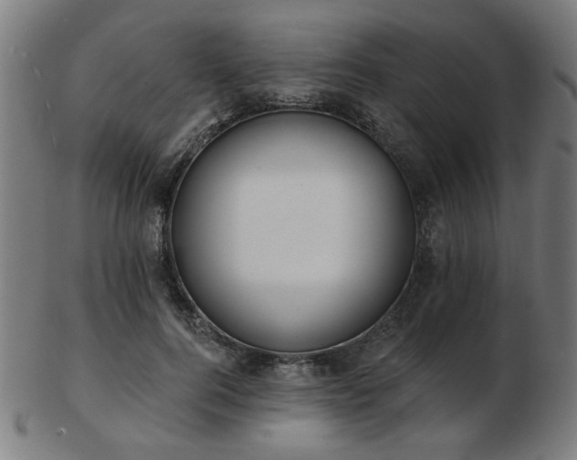 X0000103420744200809121307
