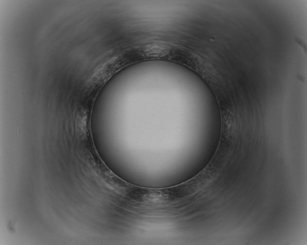 X0000103420745200809121307