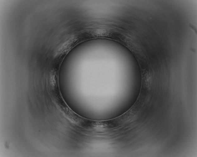 X0000103420746200809121307