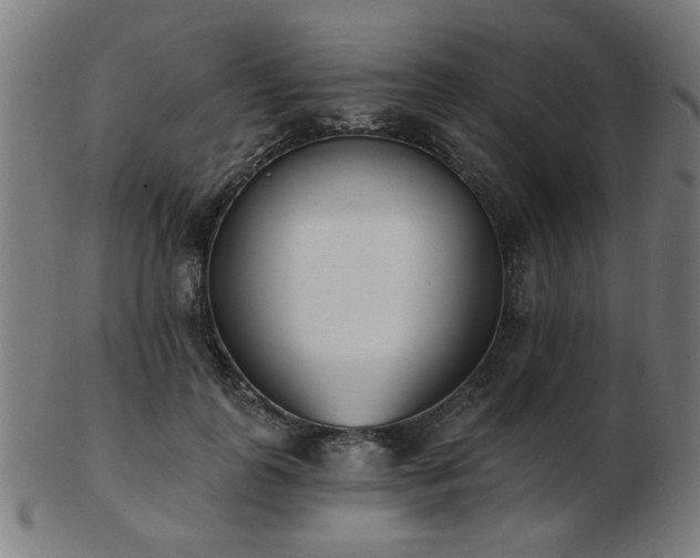 X0000103420747200809121307