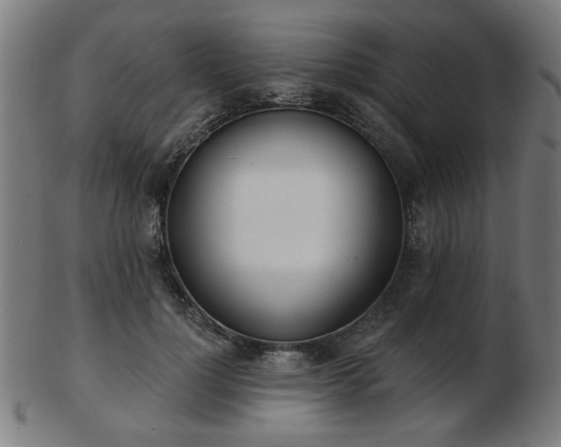 X0000103420748200809121307