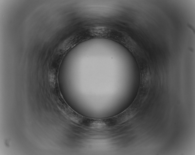 X0000103420749200809121307