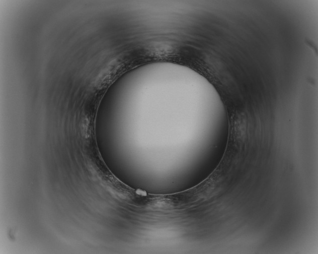 X0000103420750200809121307