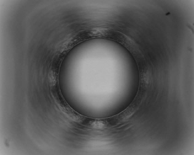 X0000103420751200809121307