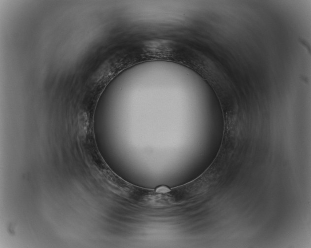 X0000103420752200809121307