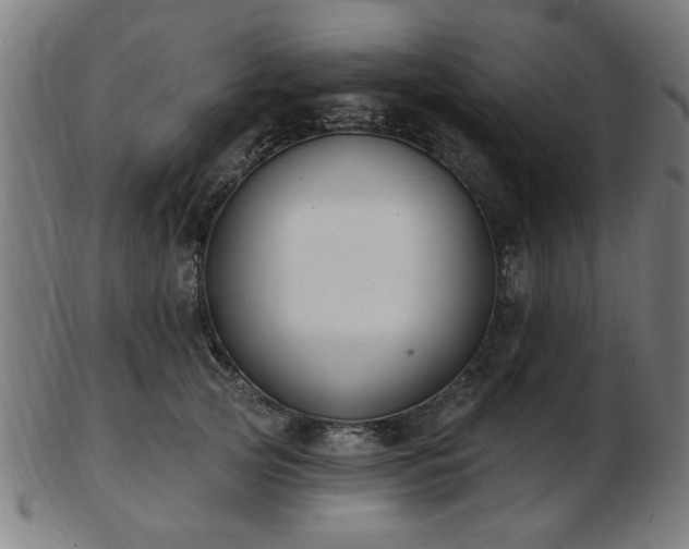 X0000103420753200809121307