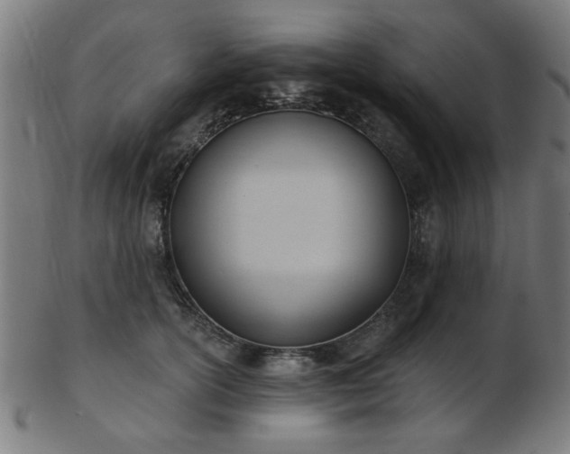 X0000103420754200809121307