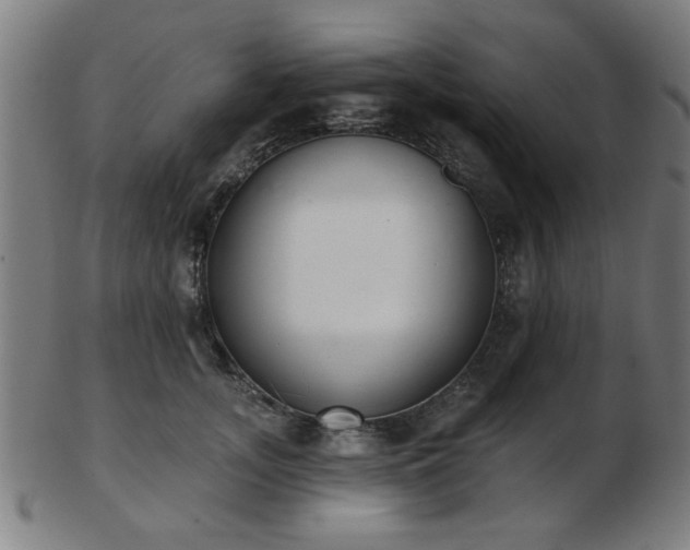 X0000103420755200809121307