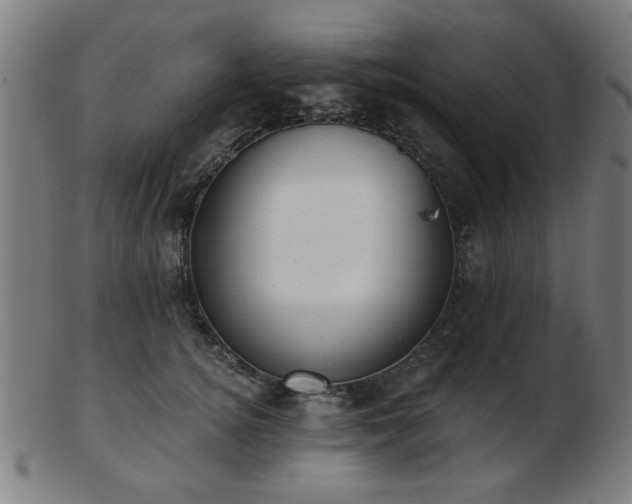 X0000103420756200809121307