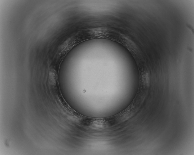 X0000103420757200809121307
