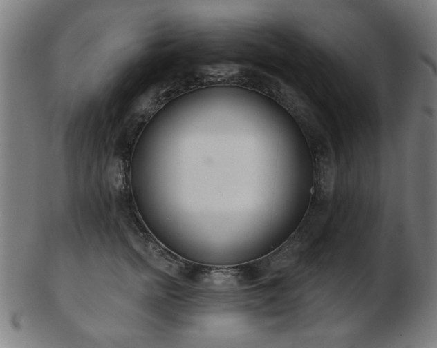 X0000103420758200809121307