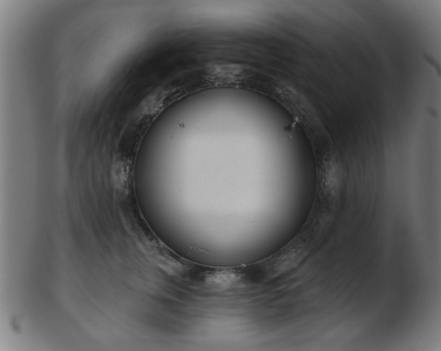 X0000103420759200809121307