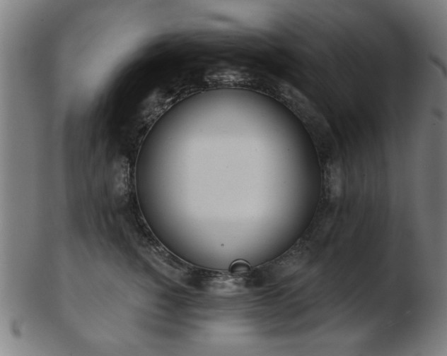 X0000103420760200809121307