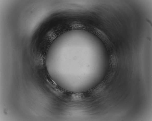 X0000103420761200809121307