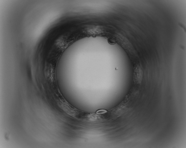 X0000103420762200809121307