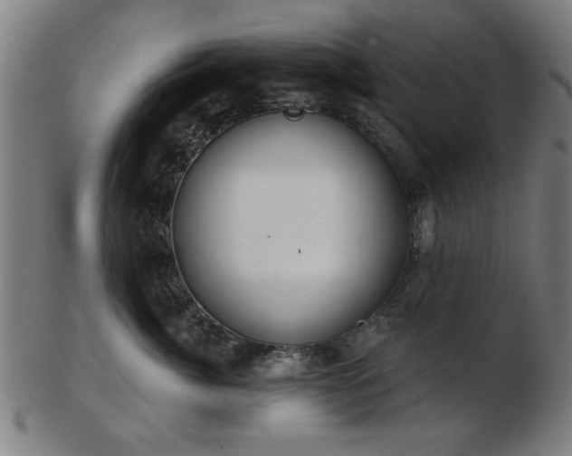 X0000103420764200809121307