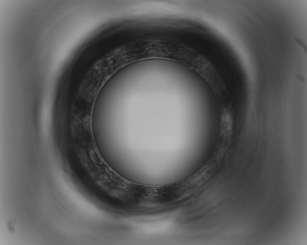X0000103420765200809121307