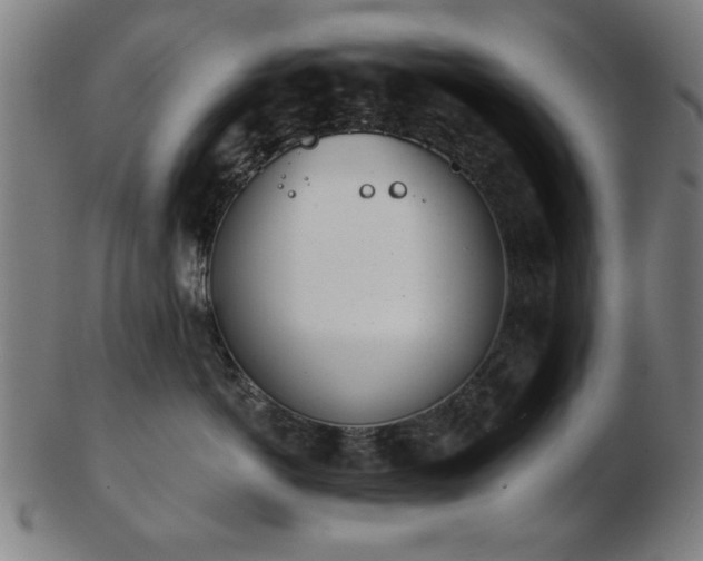 X0000103420766200809121307