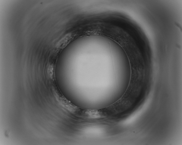 X0000103420767200809121307