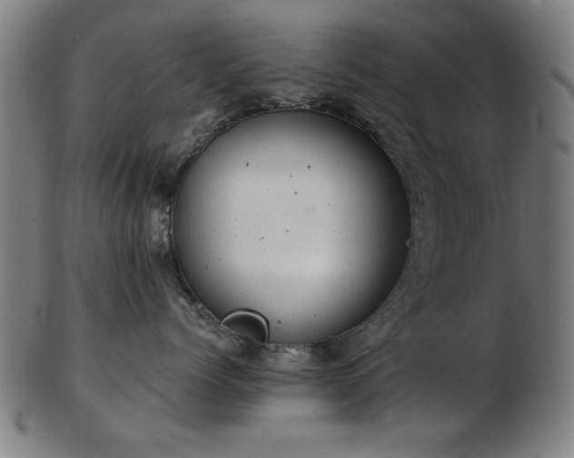 X0000103420768200809121307