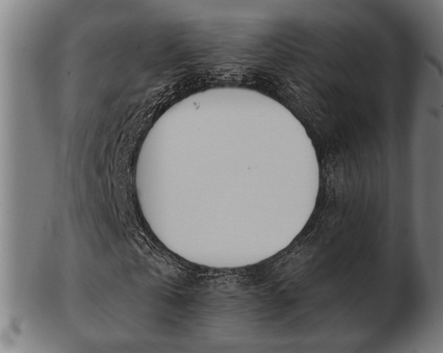 X0000103420769200809121306