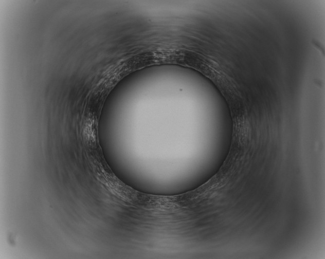 X0000103420770200809121306