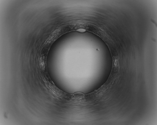 X0000103420771200809121306