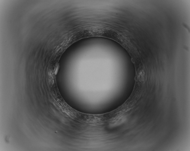 X0000103420772200809121306