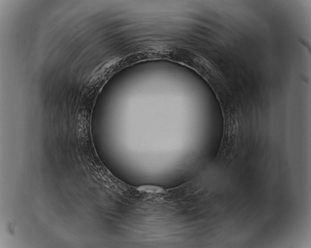 X0000103420773200809121306